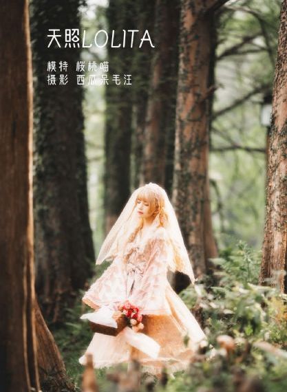 国产奶粉哪个最好啊_高清免费观看韩国